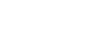 Project Manager
